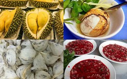 Tứ đại đặc sản Việt Nam được cho vào bảo tàng đồ ăn kinh dị thế giới