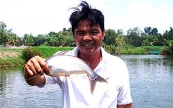 LẠ MÀ HAY: Vươn lên thành tỷ phú nhờ nuôi cá bằng...bánh bao