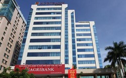 Agribank đứng đầu trong hệ thống ngân hàng đạt Top 10 VNR500 năm 2018