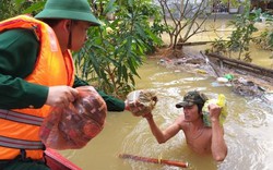 Quảng Nam: Canô bộ đội biên phòng cứu trợ người dân vùng lũ