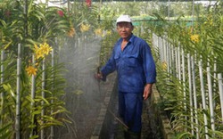 TP.Hồ Chí Minh: Tiếp sức nông dân nâng cao thu nhập