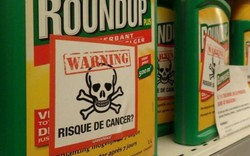 Tin mới vụ kiện Monsanto: Bayer bán tài sản, cắt 12.000 việc làm