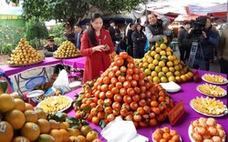 Hòa Bình: Thủ phủ cam Cao Phong tưng bừng mở hội cây có múi