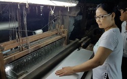 Quảng Nam: Khôi phục nghề trồng dâu, nuôi tằm nổi tiếng một thời