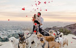 Cô gái hạnh phúc nhất thế giới, được cầu hôn với 16 chú chó bên cạnh