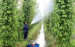 Hậu Giang, điểm sáng trong công tác giảm nghèo