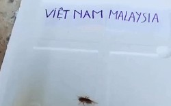 Dự đoán Việt Nam - Malaysia: Mọi sai lầm đều phải trả giá