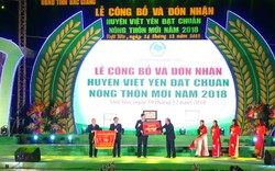 Việt Yên (Bắc Giang) đón Bằng công nhận huyện đạt chuẩn nông thôn mới