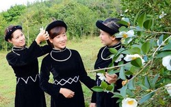 Quảng Ninh: Tinh khôi với "Bình Liêu mùa hoa sở"