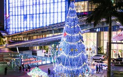 Chiêm ngưỡng cả loạt cây thông Noel "khổng lồ" giữa Hà Nội