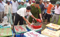 An toàn thực phẩm dịp giáp Tết Nguyên đán: Chiến dịch kiểm tra bước vào cao điểm