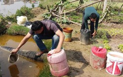 Tràn dầu ở Thanh Hóa, người dân đổ xô mang can ra hớt dầu