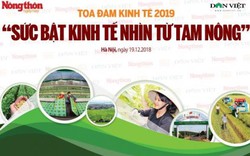 Sức bật kinh tế 2019 nhìn từ tam nông