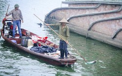 Hà Nội đề xuất dẫn nước sông Hồng "cứu" hồ Tây