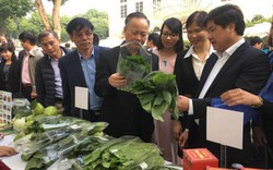 Người dân tíu tít đến mua rau, thịt sạch ở Thành ủy Hà Nội