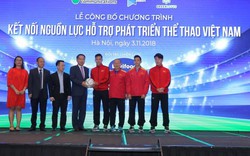 Vì sao đội tuyển Việt Nam vô địch AFF Suzuki Cup 2018?