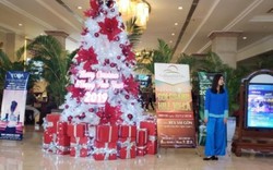 TP.HCM: Khách sạn “cháy” phòng dịp Noel