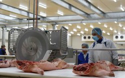 Khám phá bên trong nhà máy giết mổ lợn 1.000 tỷ, lớn nhất Việt Nam