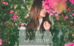 Tử vi tuổi Tý trong năm Kỷ Hợi 2019