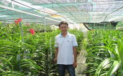 Đà Nẵng có 4.800 hộ nông dân sản xuất kinh doanh giỏi