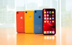 Tai thỏ còn "đeo bám" người dùng iPhone cho đến năm 2020