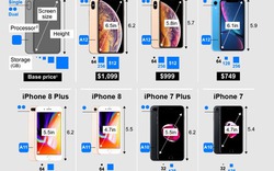 iPhone nào là phù hợp cho bạn mua sắm du xuân?