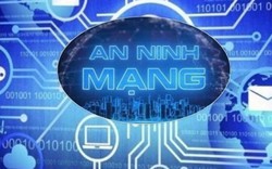 9 luật có nhiều quy định mới được áp dụng trong năm 2019