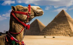 Ai Cập có phải là điểm đến an toàn với khách du lịch Việt Nam?