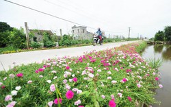 Nam Định: Xây dựng nông thôn mới có điểm khởi đầu, không có kết thúc