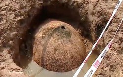 Video: Ngư dân tình cờ tìm thấy chiếc mai khổng lồ 10.000 năm tuổi ở Argentina