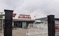 Dự án "ma" Alibaba vi phạm tất cả các luật