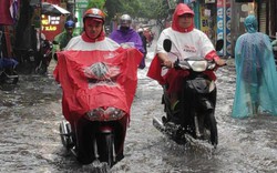 Hà Nội đón "cơn mưa vàng" giúp giảm thiểu ô nhiễm không khí