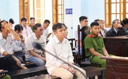 Gia Lai: Hoãn phiên tòa xét xử 12 cán bộ chia chác đất rừng