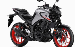 Yamaha MT-03 2020 đại tu lớn: Phuộc mới, màn hình LCD, đèn pha LED