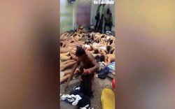 Venezuela: Cai ngục bắt phạm nhân khỏa thân, nằm dưới đất làm sân chọi gà