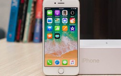 iPhone SE 2 với “vóc dáng” iPhone 8, chip Apple A13 ra mắt quý 1/2020