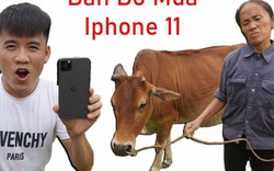 Con trai bà Tân Vlog lừa mẹ bán bò để mua Iphone 11 max pro 40 triệu đồng