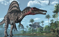 "Quái vật" hung dữ có thể đánh bại khủng long bạo chúa T-Rex