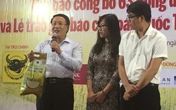 Phó Chủ tịch Quảng Trị cất công ra Thủ đô bán loại gạo quý như vàng