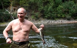 Tổng thống Nga Putin vào rừng làm gì trong ngày sinh nhật lần thứ 67?