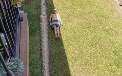Video: Đi dạo quanh vườn, tình cờ phát hiện dấu vết trăn khổng lồ dài 8m