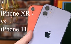 Nên mua iPhone 11 hay iPhone XR?