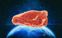 Israel: Tạo ra thịt bò mà không cần nuôi con bò