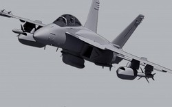 Infographic: Mỹ tiếp tục bá chủ đòn đánh từ đại dương nhờ "quái điểu" F/A-18E/F