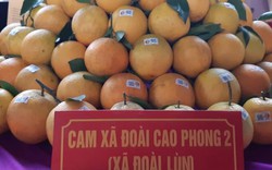 "Mở cửa" cho đặc sản xứ Mường vào chuỗi siêu thị Vinmart