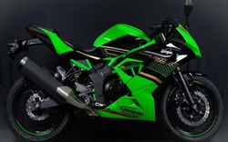 Kawasaki trình làng Ninja 250 SL KRT: Sẵn sàng hạ Honda CBR250