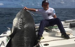 Úc: Cậu bé 8 tuổi câu được cá mập hổ “khủng” 300kg, phá kỷ lục thế giới suốt 22 năm