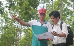 Bình Phước lập đoàn thanh tra xác minh vụ tố 30ha rừng bị phá