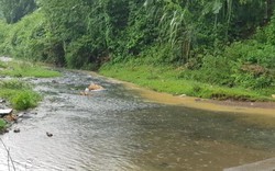 Phát hiện bất ngờ ở NM nước Sông Đà khiến nước sạch tại HN có mùi lạ