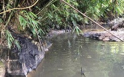 Kẻ đổ trộm dầu thải khiến nước sạch Sông Đà có mùi bị xử lý ra sao?